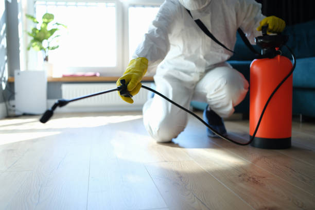 Reliable Biohazard Cleanup contractor in Junction City, CA by Trauma Clean Pros